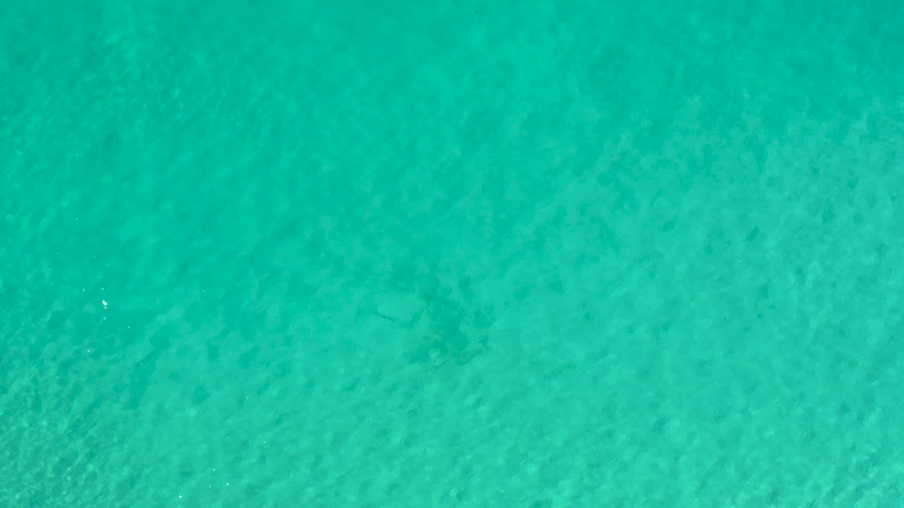 Overhead view of turquoise water in Los Cabos with a small dark fish shadow low in frame and no visible people.