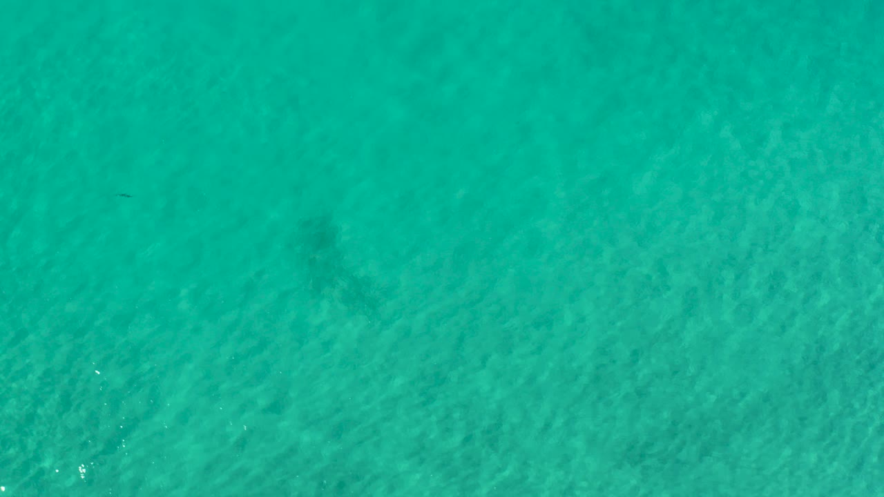 Overhead view of aquamarine shallow water in Los Cabos, Mexico, with faint ripple shadows across the sandy bottom and no visible people.