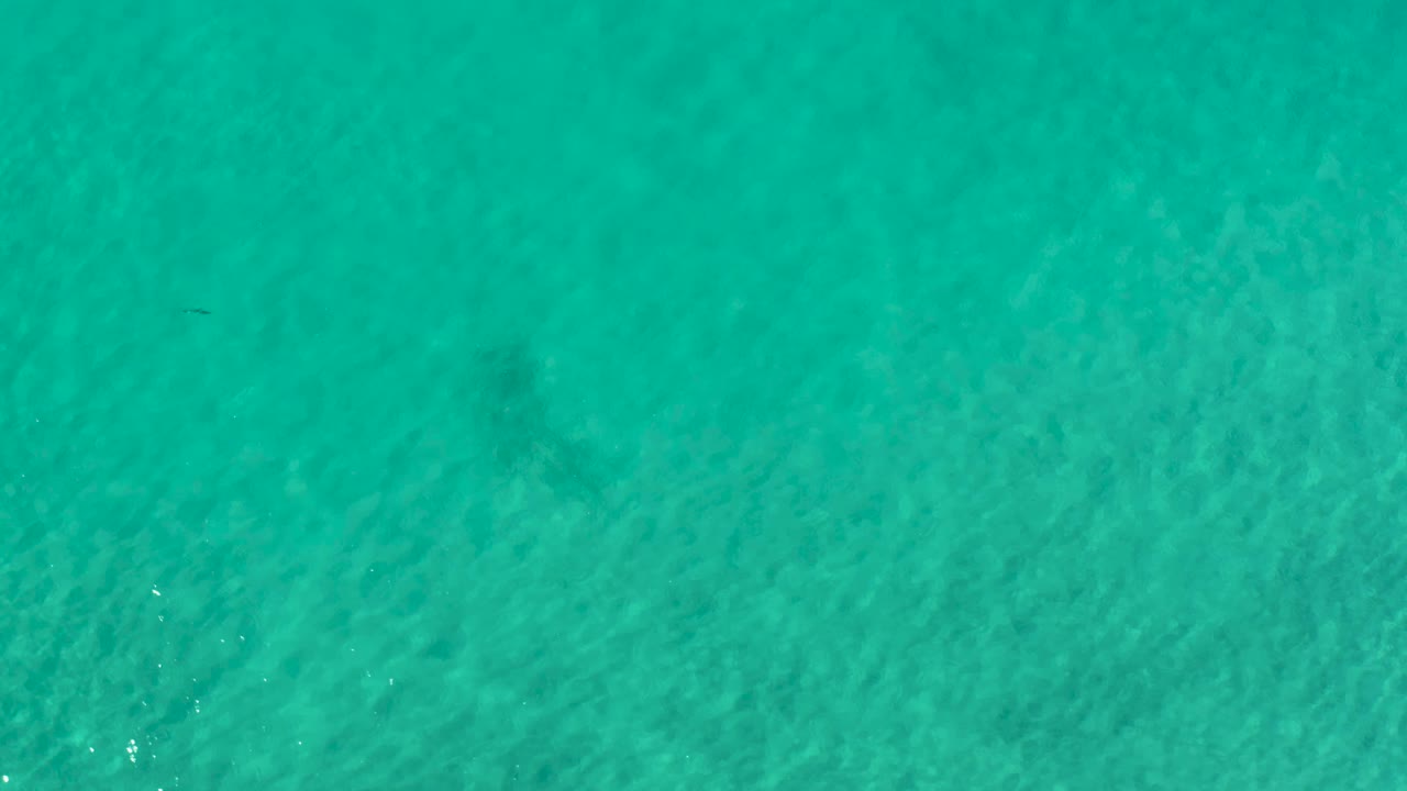 Clear turquoise shallow water in Los Cabos, Mexico, fills the frame with slightly darker underwater areas and no visible people.
