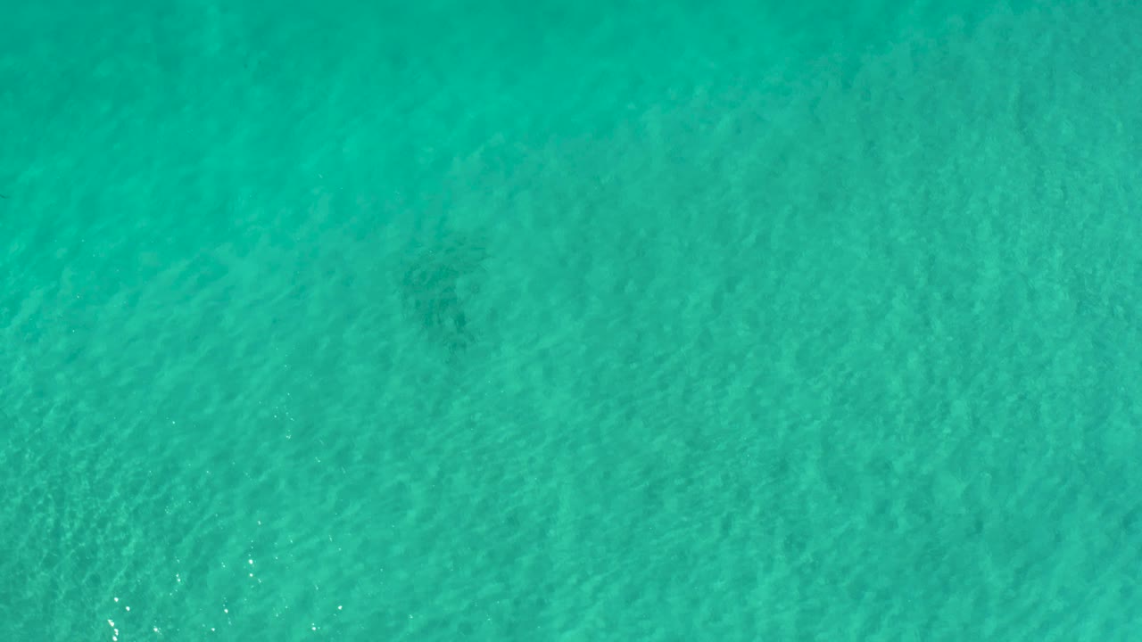 Aerial-looking view of shallow teal seawater in Los Cabos with darker underwater patches and no visible people.
