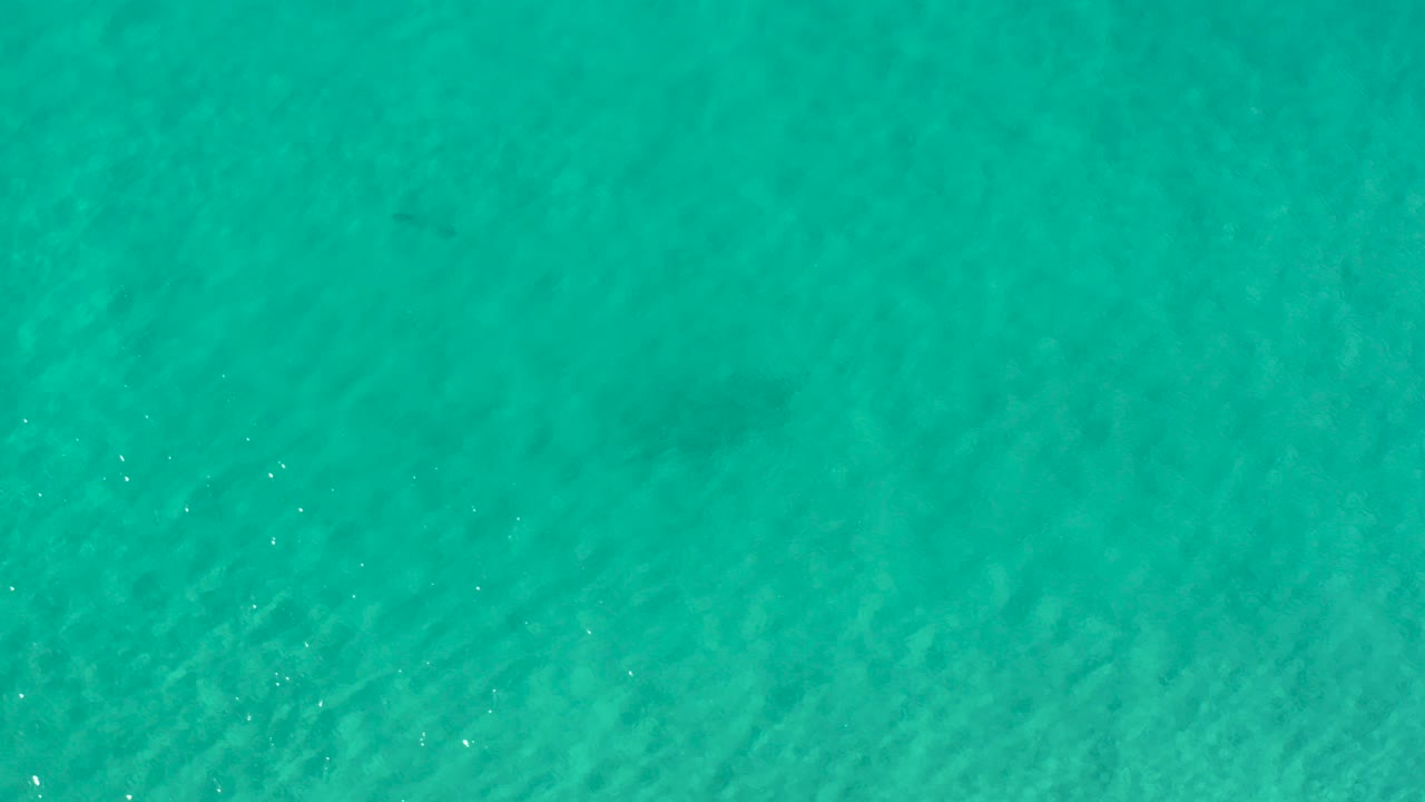 Top-down view of clear turquoise water in Los Cabos, Mexico, with faint bottom texture and no visible people.