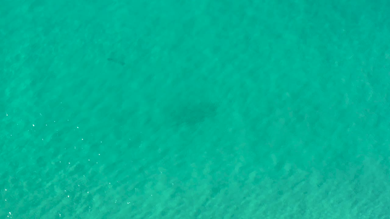 Clear blue-green water fills the frame in Los Cabos, Mexico, with soft ripples and no visible people or structures.