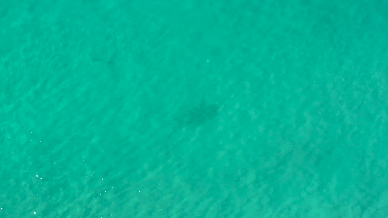 Overhead turquoise water in Los Cabos, Mexico, shows subtle darker patches under the surface and no visible people.
