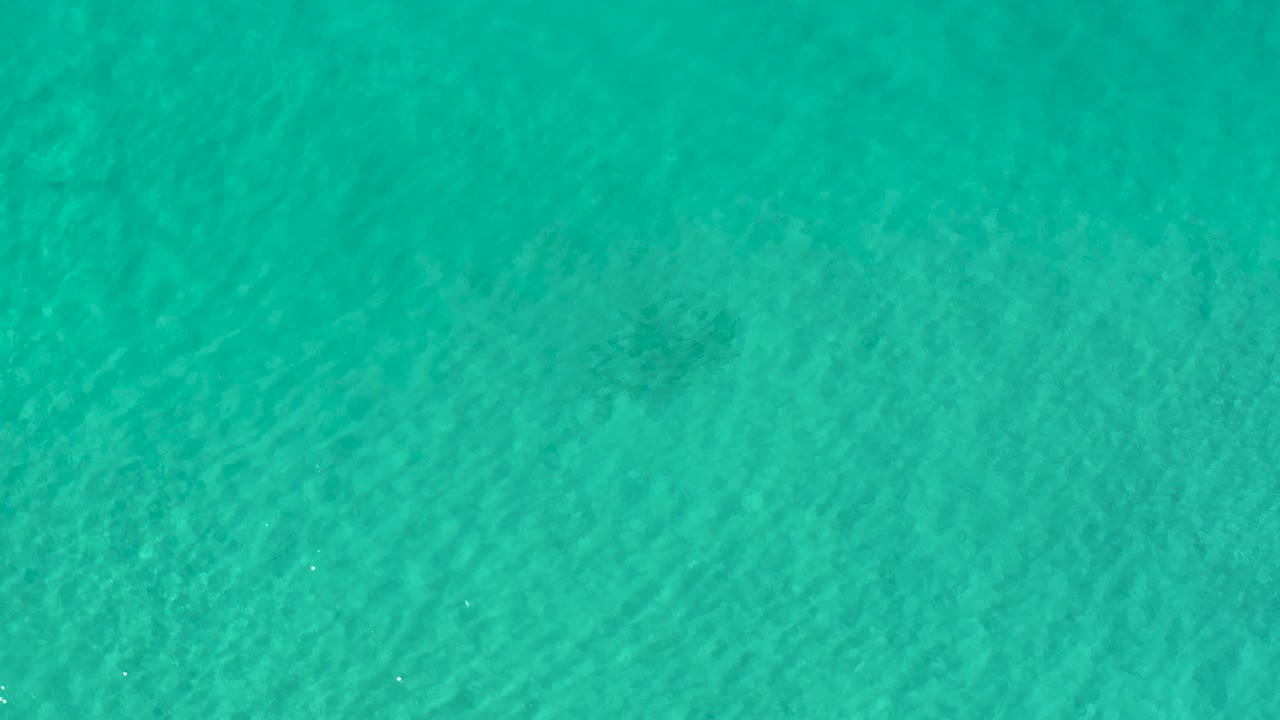 Clear green ocean surface in Los Cabos, Mexico, with subtle darker underwater areas and no visible people.
