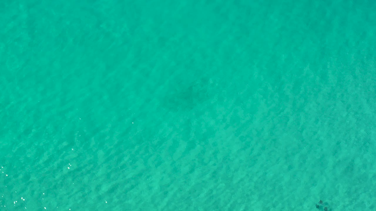Overhead frame of green shallow water in Los Cabos, Mexico, with fine ripples and no visible people.