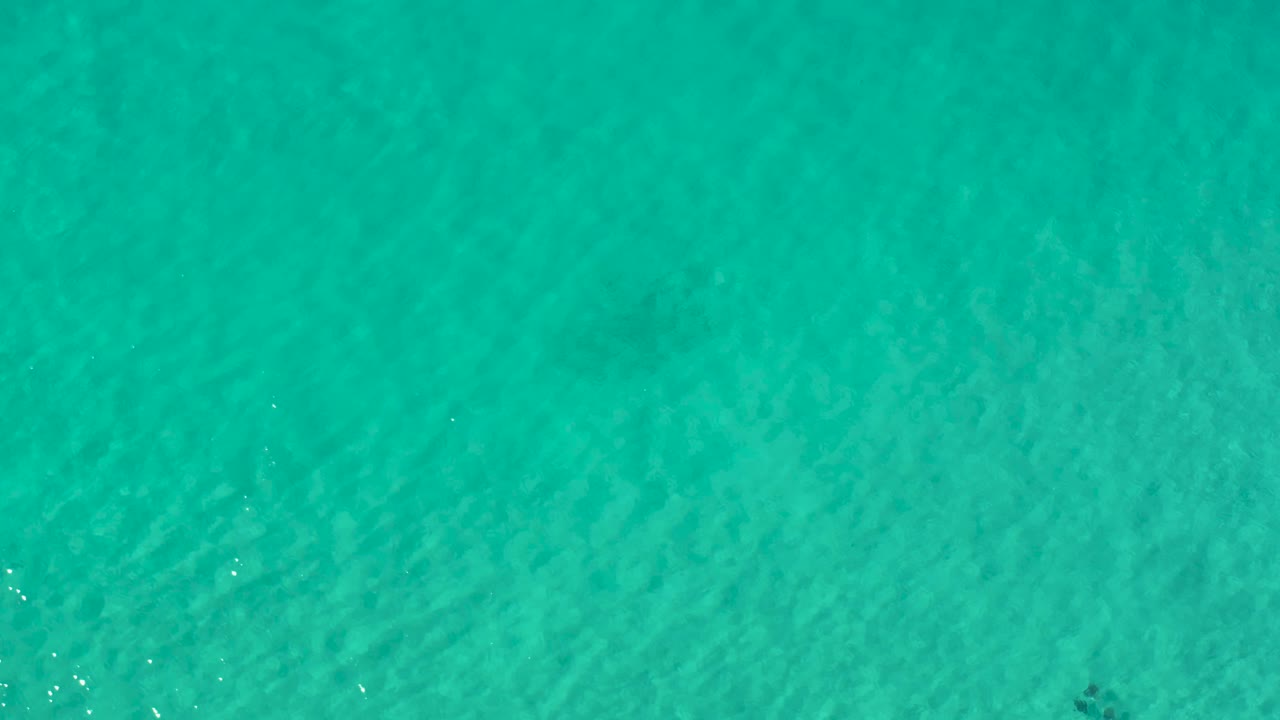 Emerald sea surface in Los Cabos, Mexico, filled with small wind ripples, scattered sun glints, and no visible people.