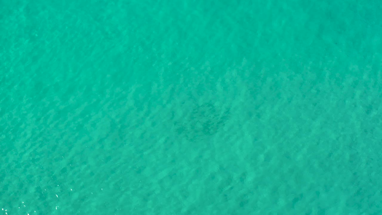 Turquoise Los Cabos seawater fills the frame from an overhead angle, with faint seabed or reef texture visible under the surface and no visible people.