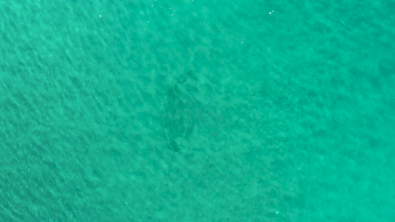Overhead view of turquoise water in Los Cabos, Mexico, with fine ripples and muted darker areas under the surface, no visible people.