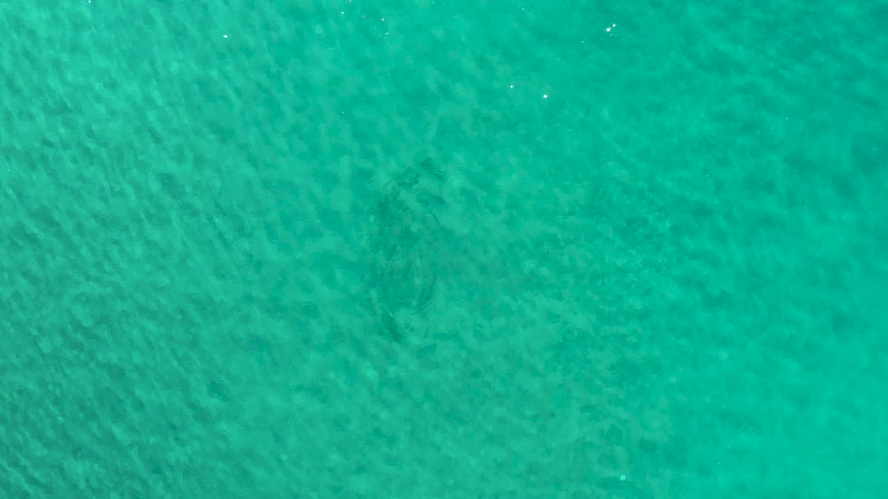 Blue-green water fills the frame in Los Cabos, Mexico, with a slightly denser ripple pattern across the center and no visible people.