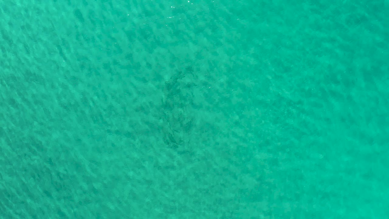Overhead turquoise sea surface in Los Cabos, Mexico, showing scattered sun glints and darker underwater shapes, no visible people.