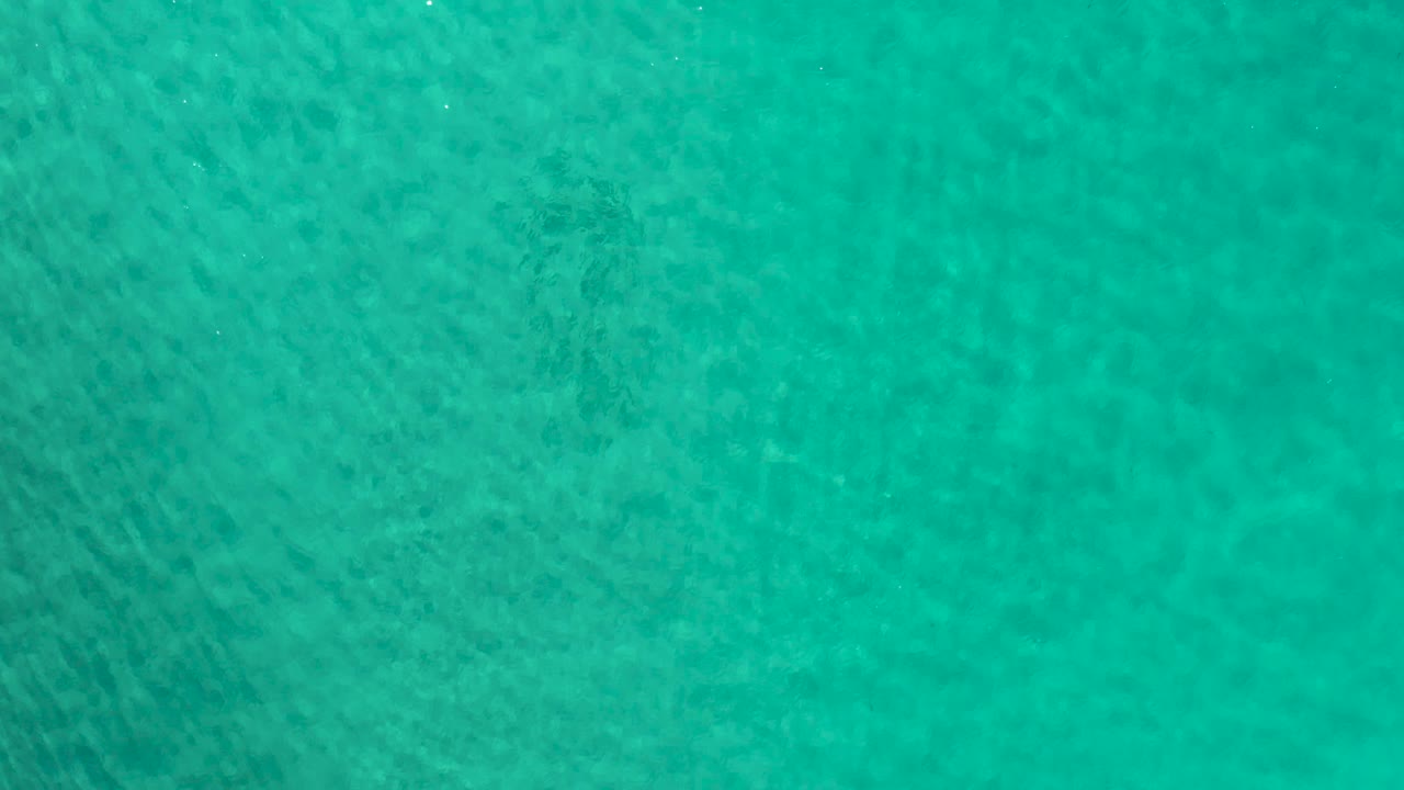 Clear green water with soft sunlight shimmer across the surface.