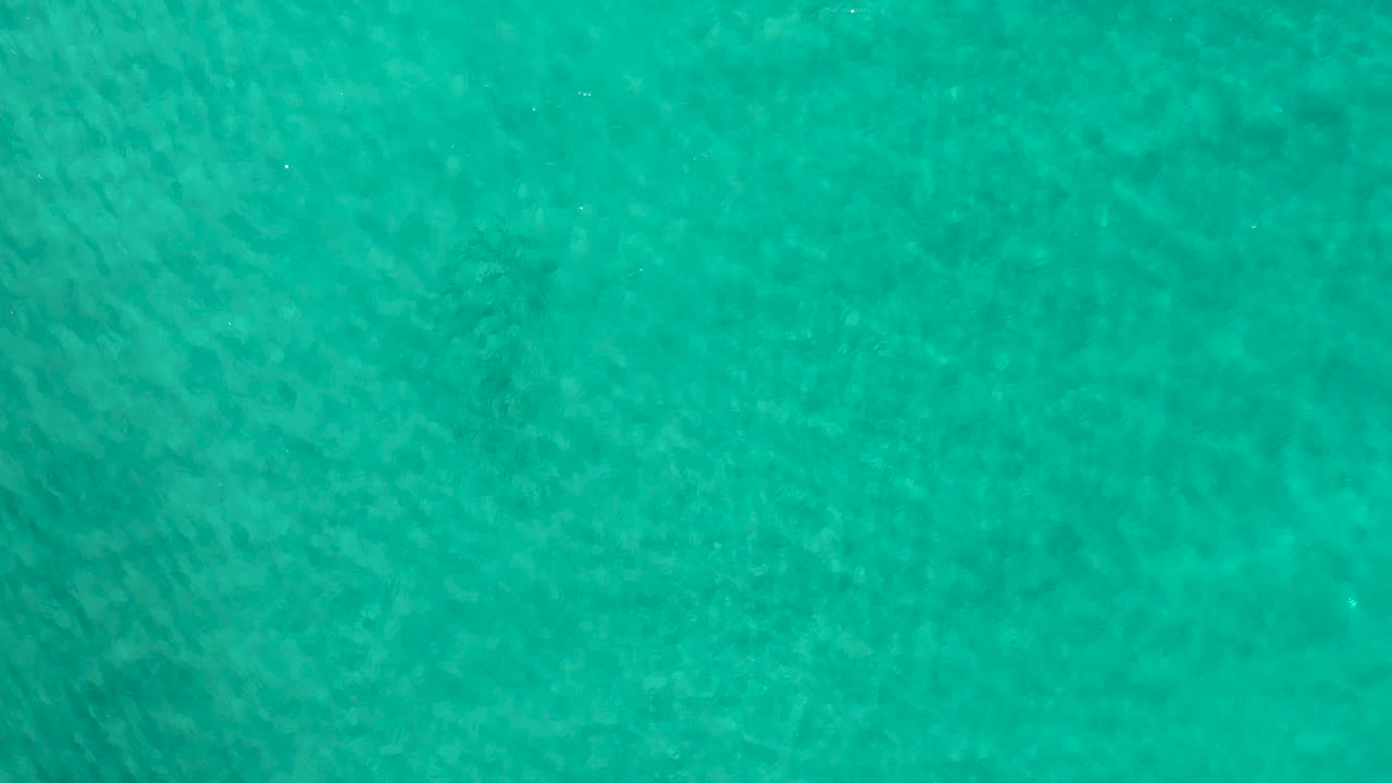 Clear blue-green Los Cabos water fills the frame, with mild surface shimmer and faint submerged shapes, no visible people.