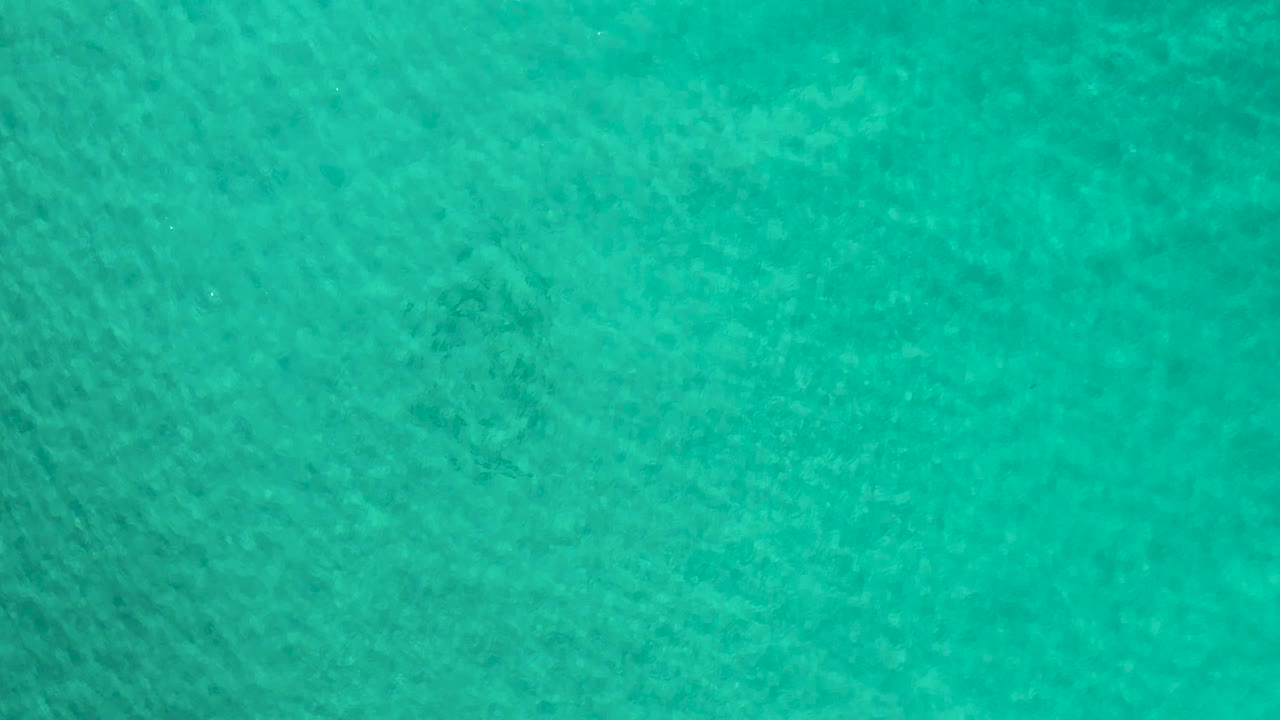 Green ocean water in Los Cabos, Mexico, fills the frame with darker submerged patches and no visible people.
