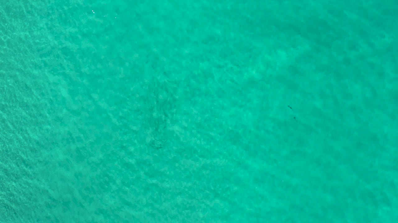 Overhead teal ocean water in Los Cabos, Mexico with faint underwater texture and no visible people at the start of the clip.