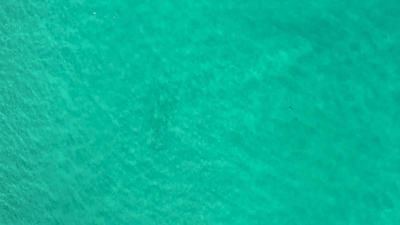 Blue green ocean surface in Los Cabos, Mexico with subtle current lines spread across the frame and no visible people.