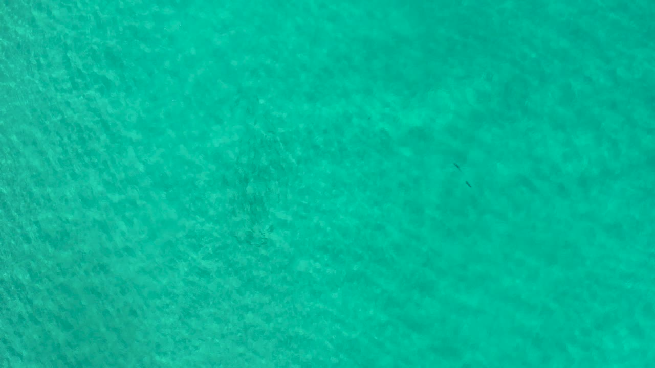 Teal ocean water in Los Cabos, Mexico with pale sandy-looking patches below the surface and no visible people.