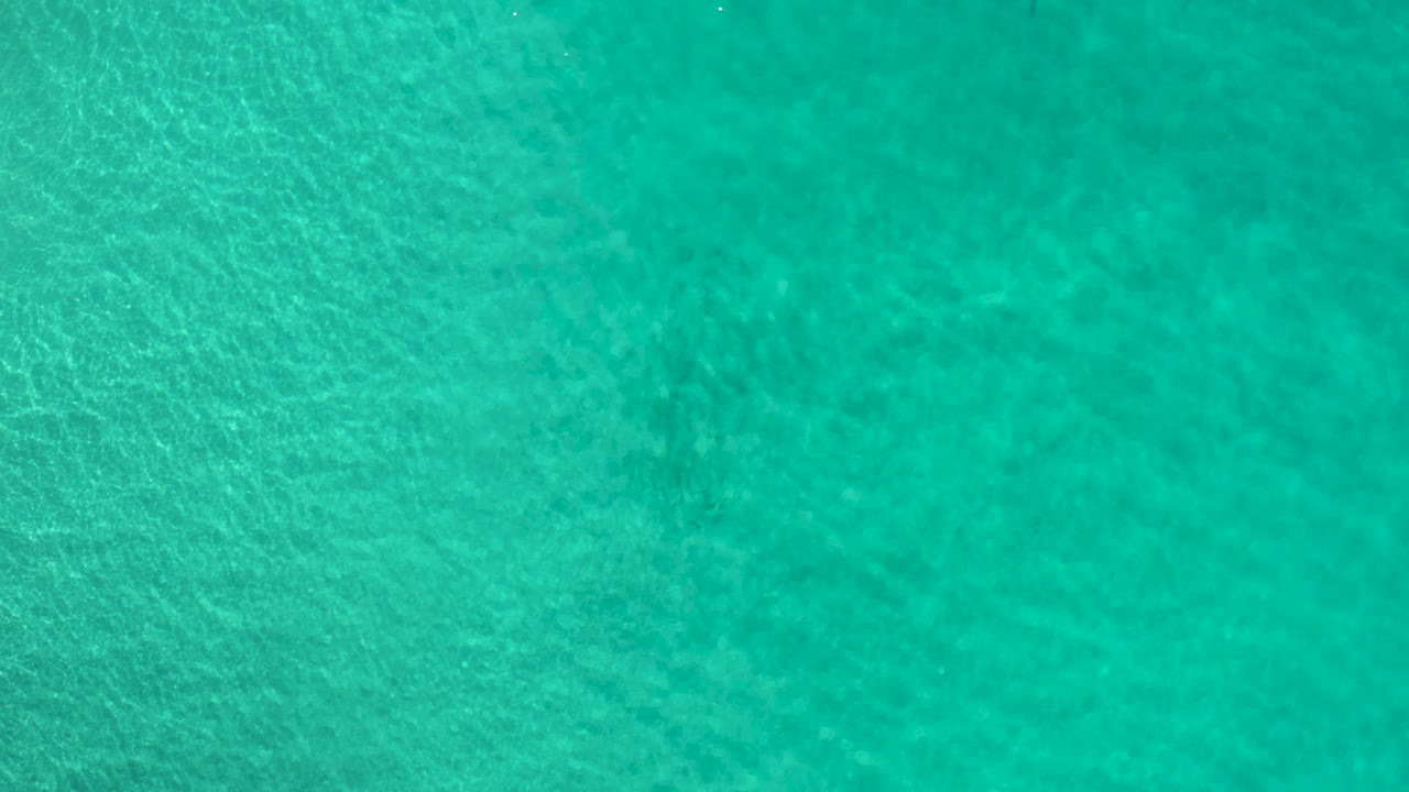 Clear green ocean water fills the frame in Los Cabos, Mexico, with subtle darker patches under the surface and no visible people.