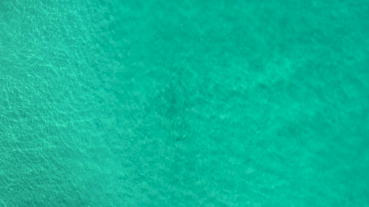Evenly lit turquoise water in Los Cabos, Mexico, covers the frame with light rippling texture and no visible people.