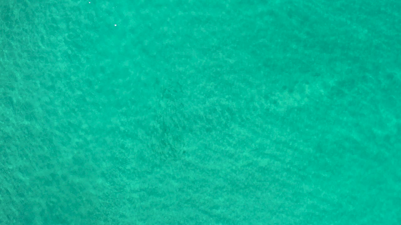 Top-down green ocean surface with fine ripples.