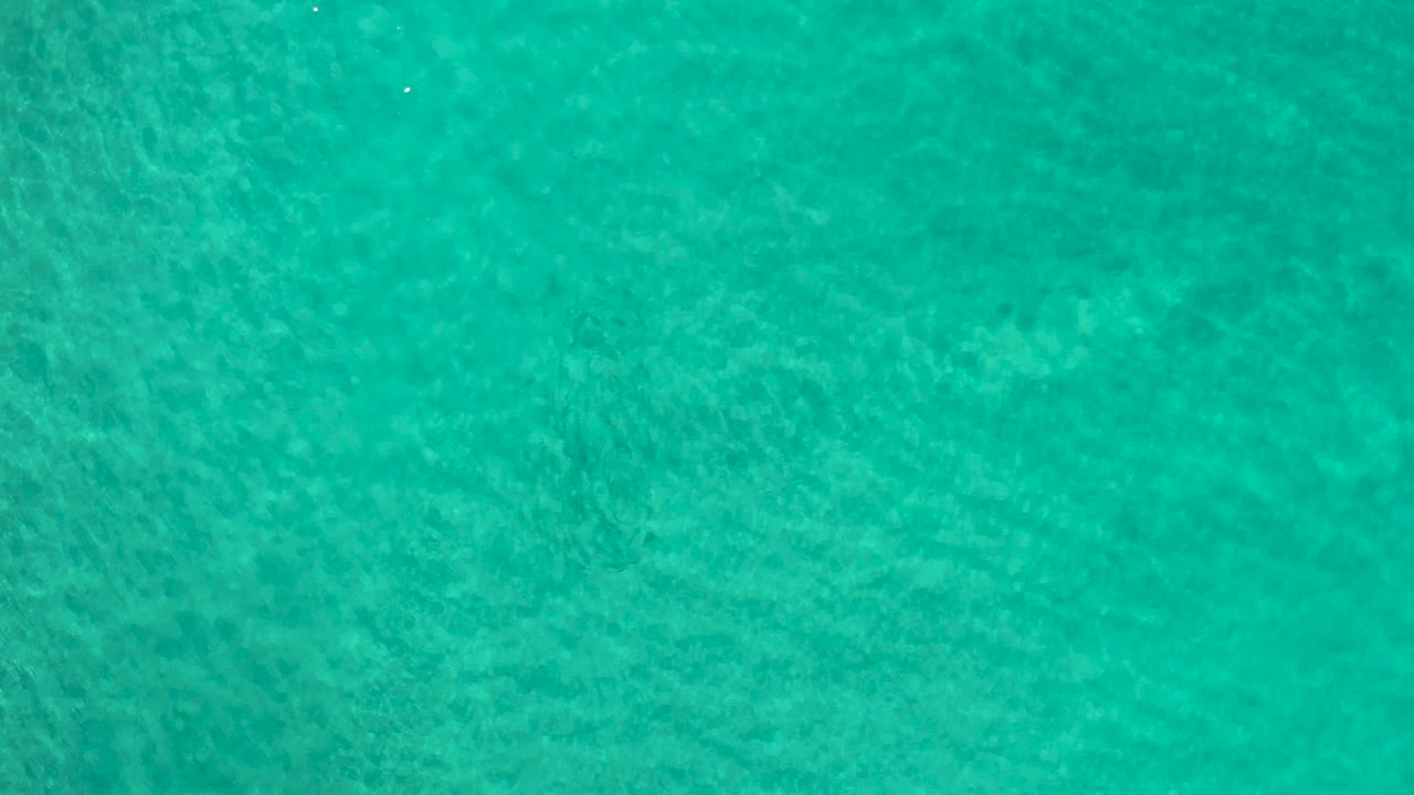 Overhead turquoise-green ocean surface in Los Cabos, Mexico, with soft daylight on shallow-looking water and no visible people.