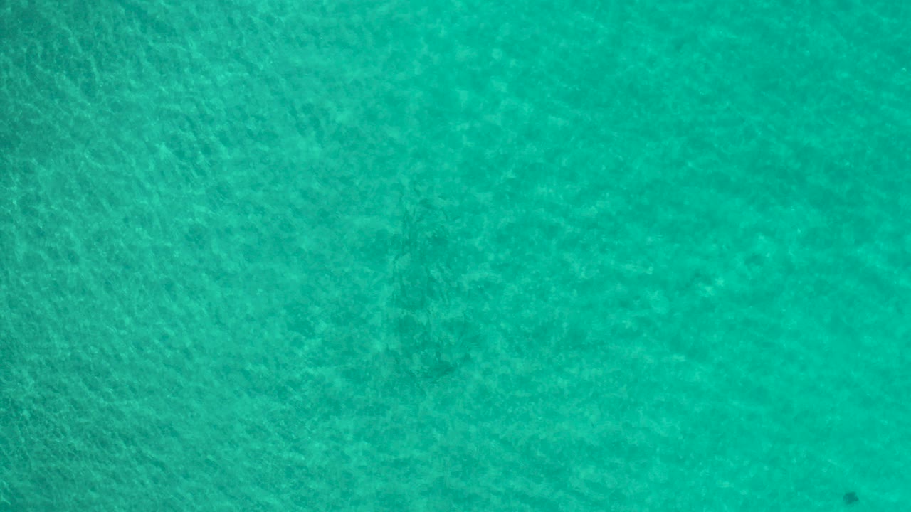 Overhead view of green-blue clear ocean water in Los Cabos, Mexico, with faint seabed texture and no visible people.