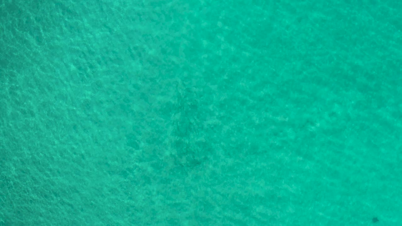 Transparent turquoise water with mottled seabed detail.