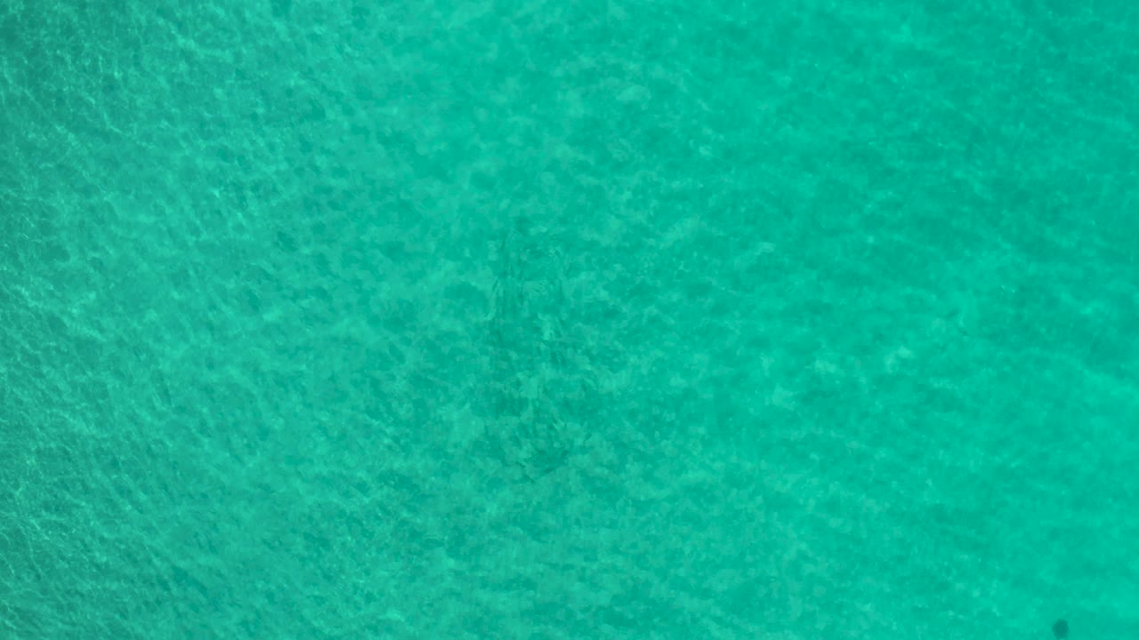Clear green-blue coastal water in Los Cabos, Mexico, shows a faint diagonal ripple pattern with no visible people or shoreline.