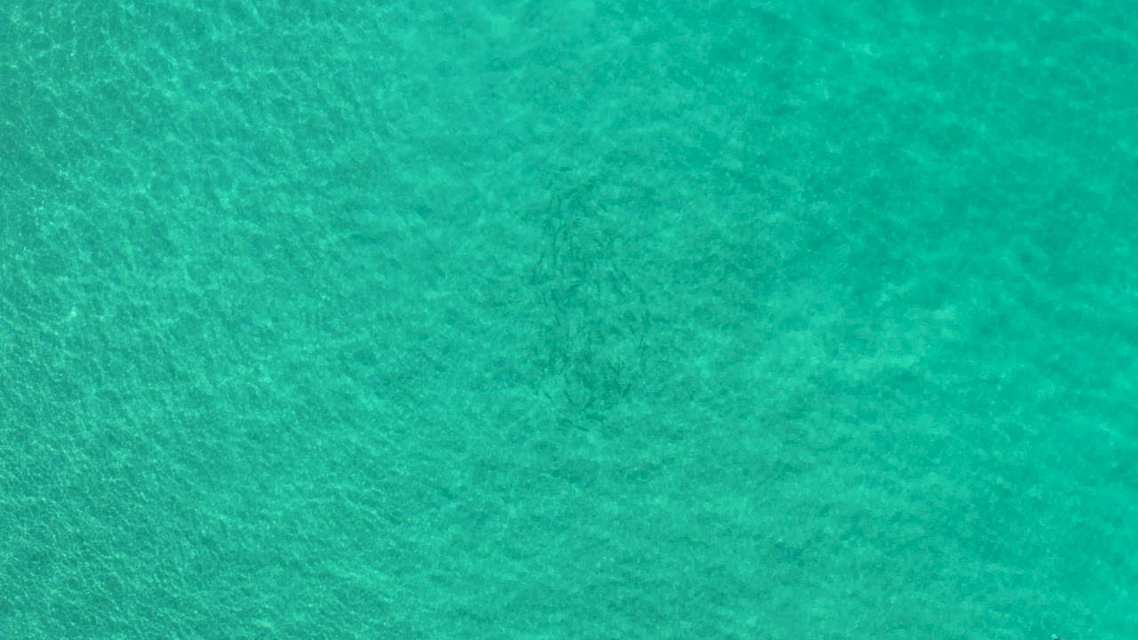 Aquamarine ocean surface with faint ripples and underwater texture.