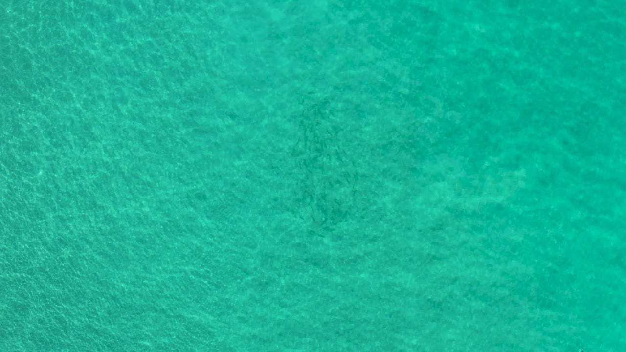Overhead Los Cabos ocean frame showing green-blue water, fine ripple lines, and no visible people one second into the clip.