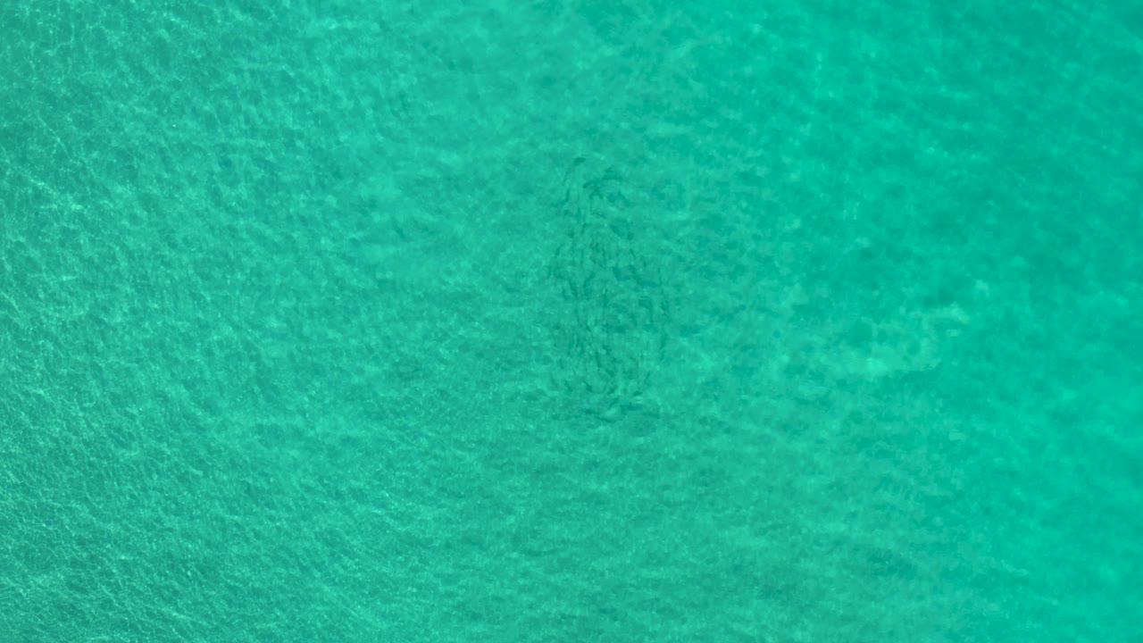 Turquoise water surface with mottled underwater patches.