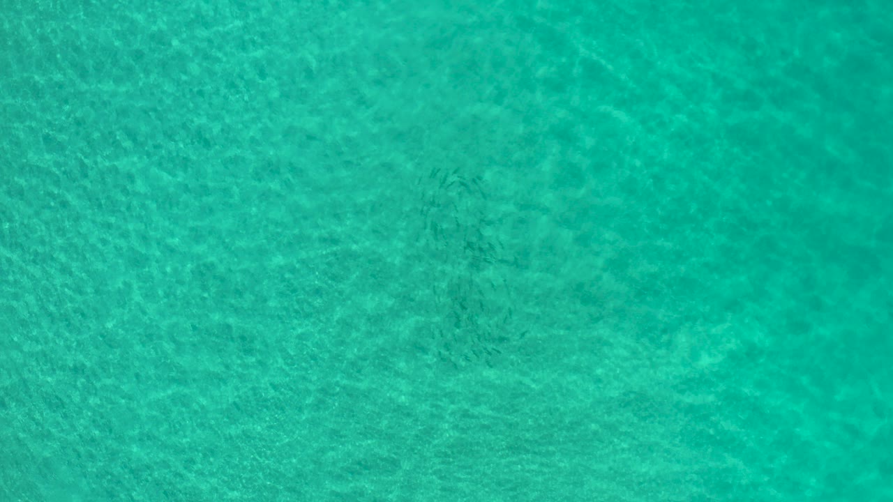 Overhead view of turquoise water rippling across a sandy sea floor in Los Cabos, Mexico, with no visible people.