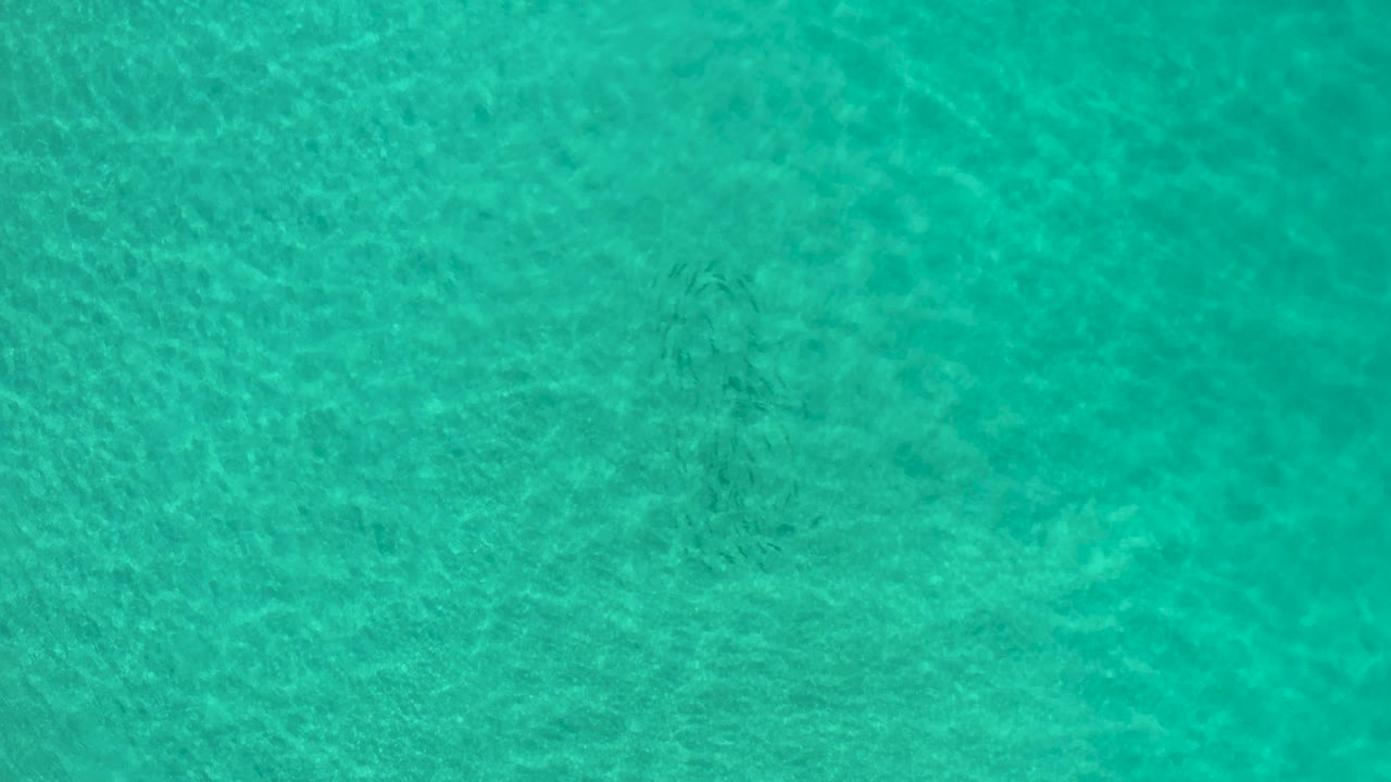 Pale aqua shallows fill the frame from above in Los Cabos, Mexico, with faint ripple lines crossing the sandy bottom and no visible people.