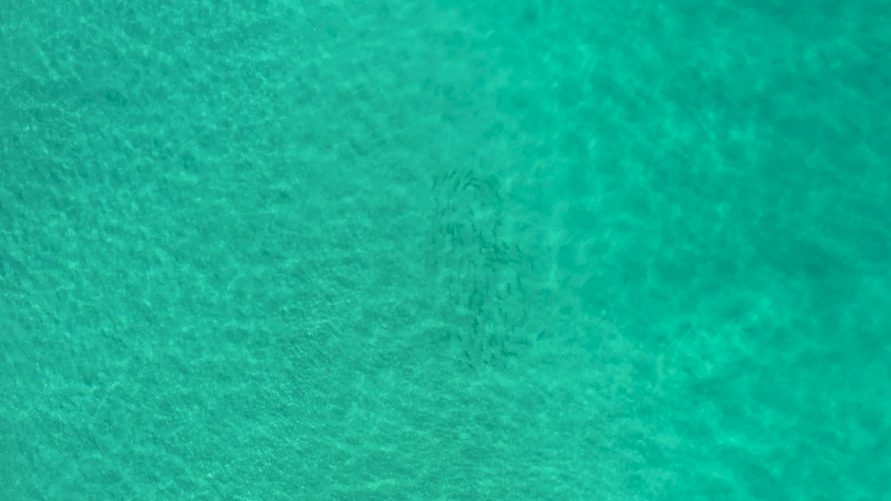 Green-blue ocean water covers the frame in an overhead Los Cabos view, with muted sand texture below and no visible people or structures.