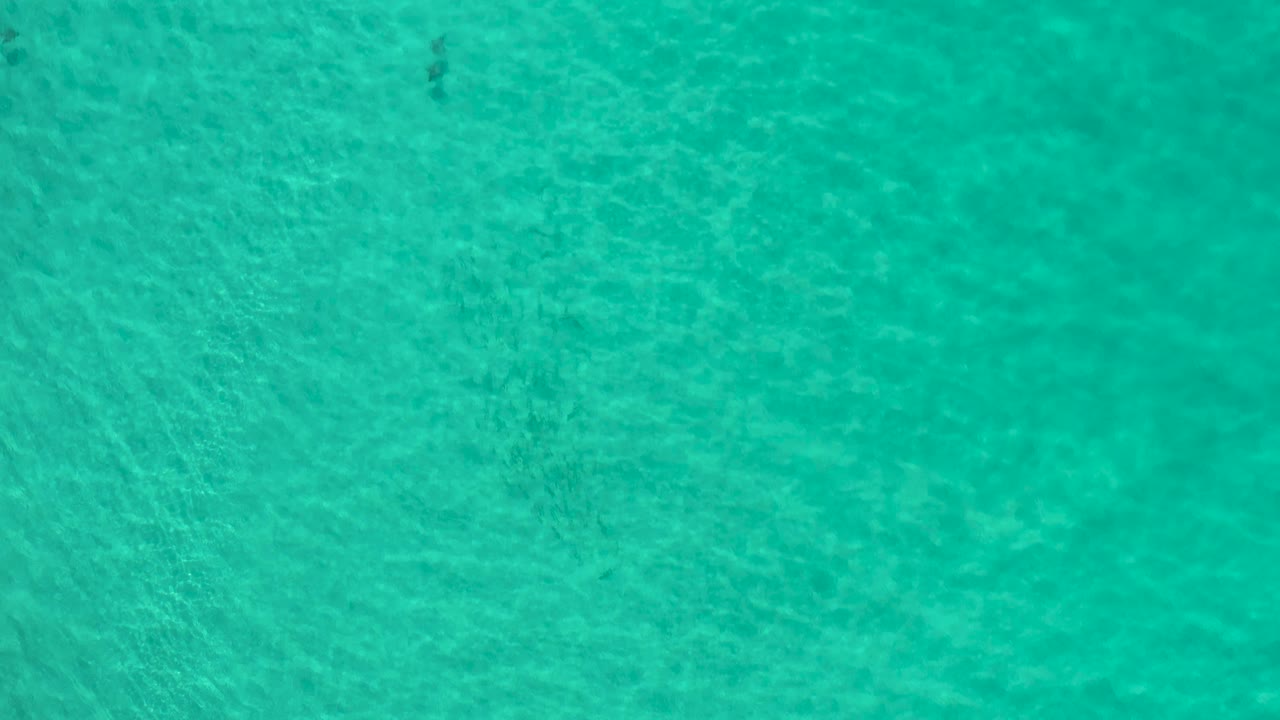 Clear blue-green ocean water fills the frame in Los Cabos, with fine ripple texture and no visible people or shoreline.