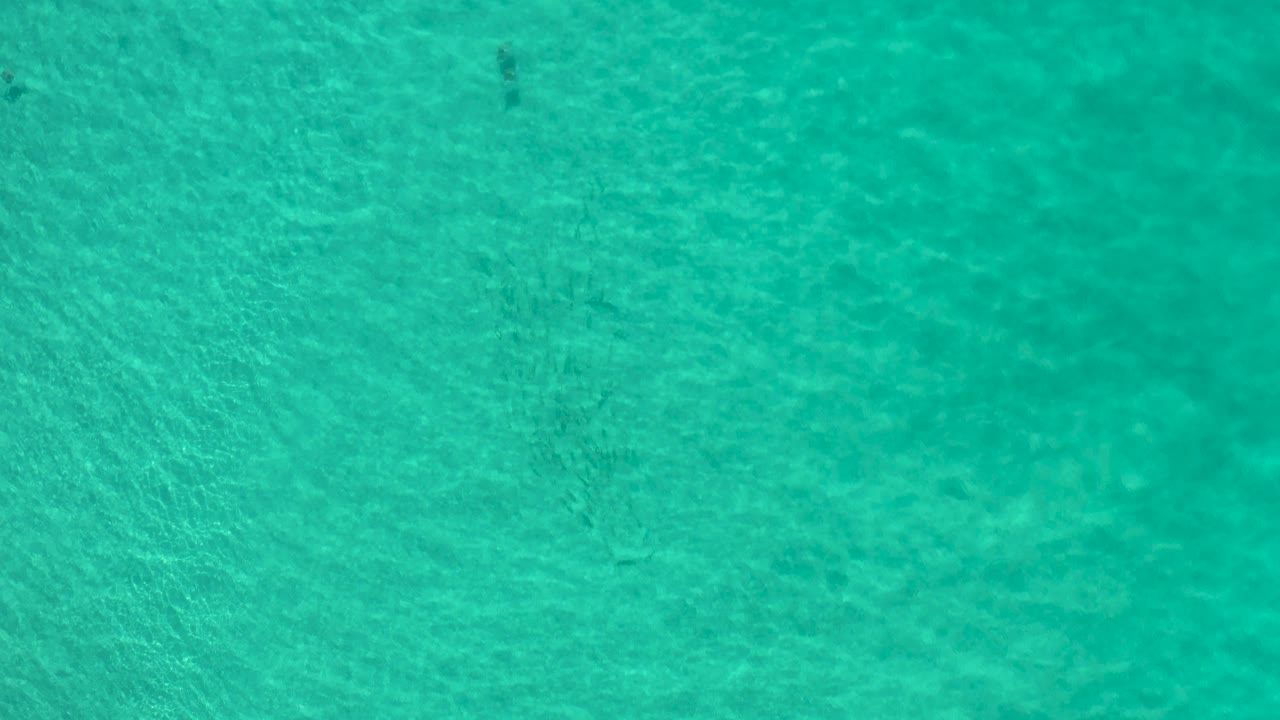 Overhead ocean water remains full frame in Los Cabos, with soft green-blue tones, faint dark forms, and no visible people.