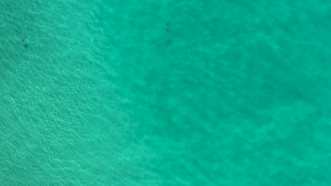 Overhead shallow green seawater in Los Cabos, Mexico, with more visible rippled light patterns across the sandy bottom and no visible people.