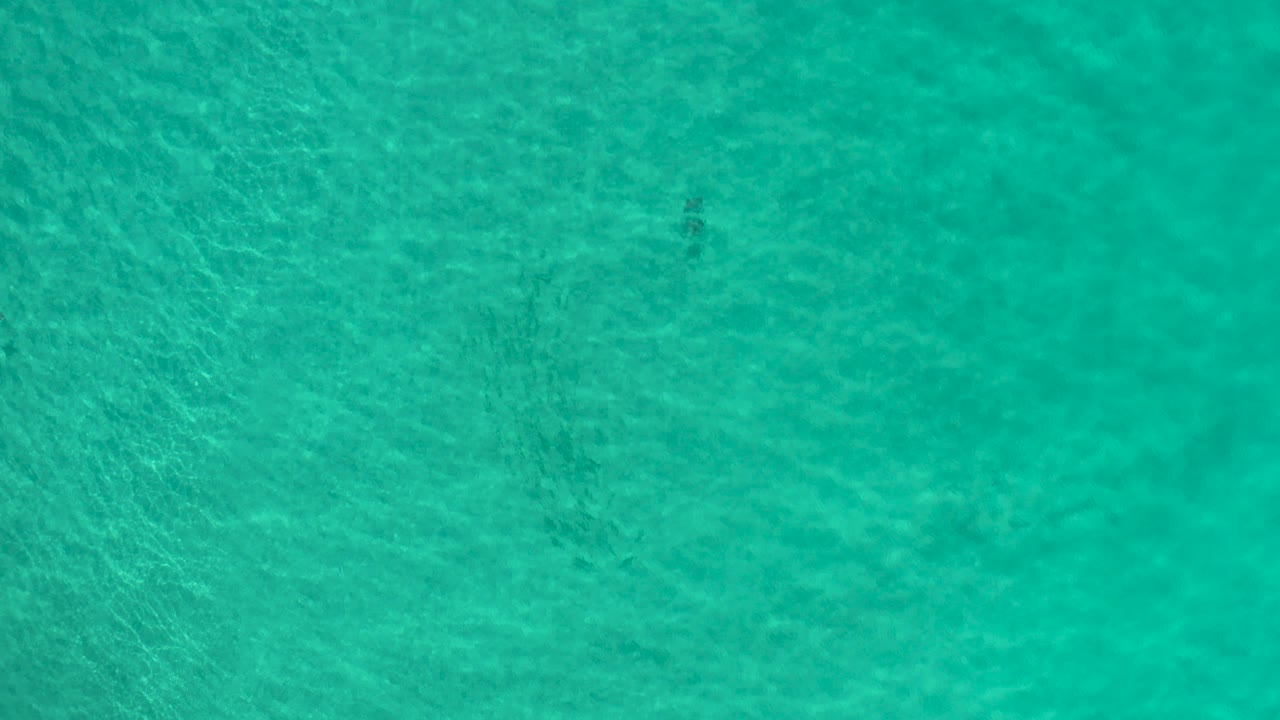 Overhead view of green-turquoise ocean water in Los Cabos, Mexico, with soft surface ripples and no visible people.