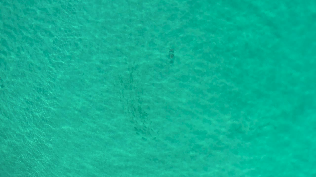 Clear green ocean water in Los Cabos, Mexico, with a slightly darker vertical patch beneath the surface and no visible people.