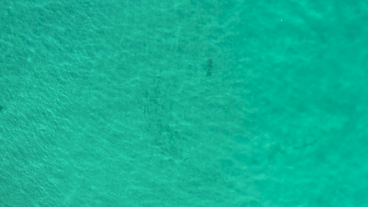 Bright turquoise ocean surface in Los Cabos, Mexico, with fine rippling patterns across the frame and no visible people.