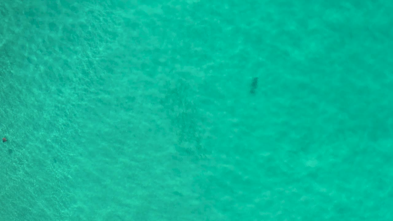 Top-down Los Cabos water frame with blue-green surface texture, a small dark submerged mark near the upper portion, and no visible people.