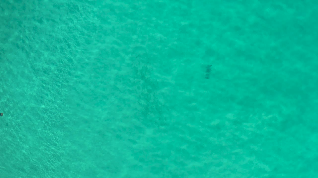 Overhead frame of clear turquoise water in Los Cabos, Mexico, with fine ripple patterns across the surface and no visible people.
