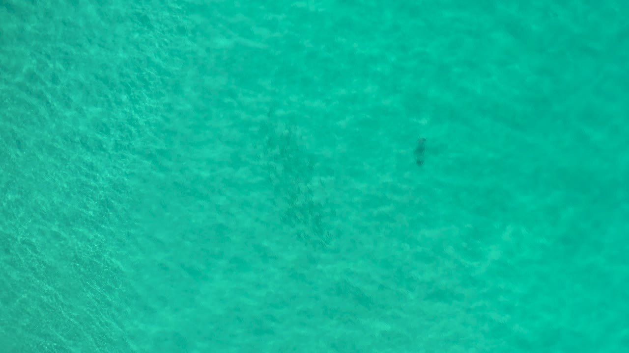 Mid-clip overhead view of blue Los Cabos water, showing soft surface texture, faint darker underwater patches, and no visible people.