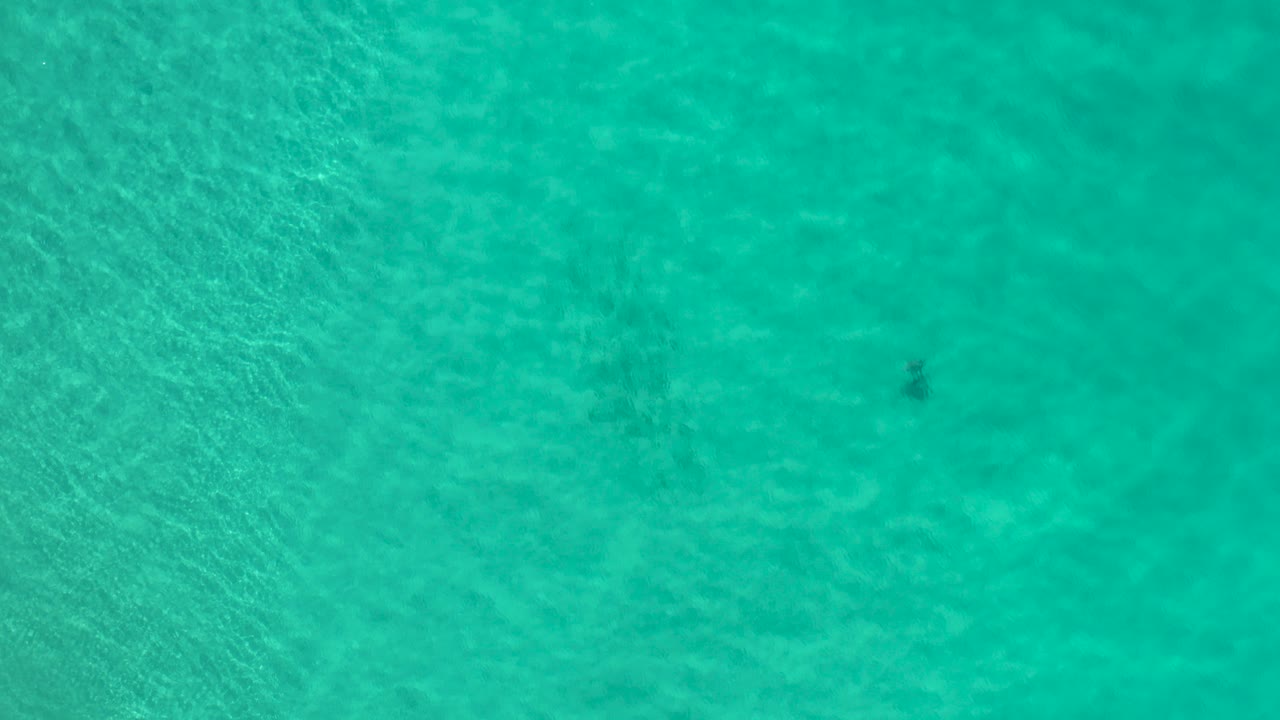 Overhead view of turquoise ocean water in Los Cabos, Mexico, with soft ripples and faint sandy bottom patterns, no visible people.