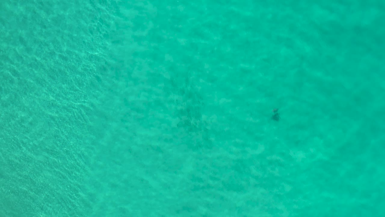 Blue-green Los Cabos water fills the frame with pale wave lines and a small dark underwater mark near the upper area, no visible people.