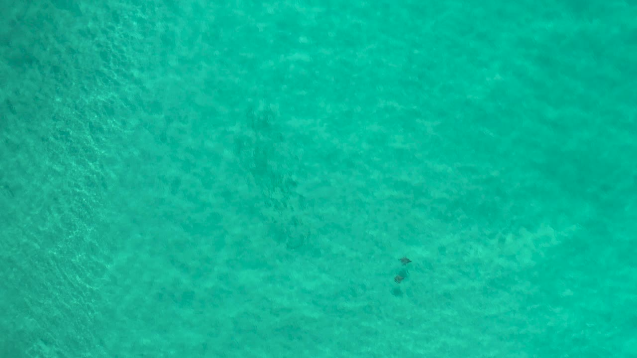 A small clustered fish school appears toward the right side of blue green shallow water in Los Cabos, Mexico, with soft ripples and no visible people.