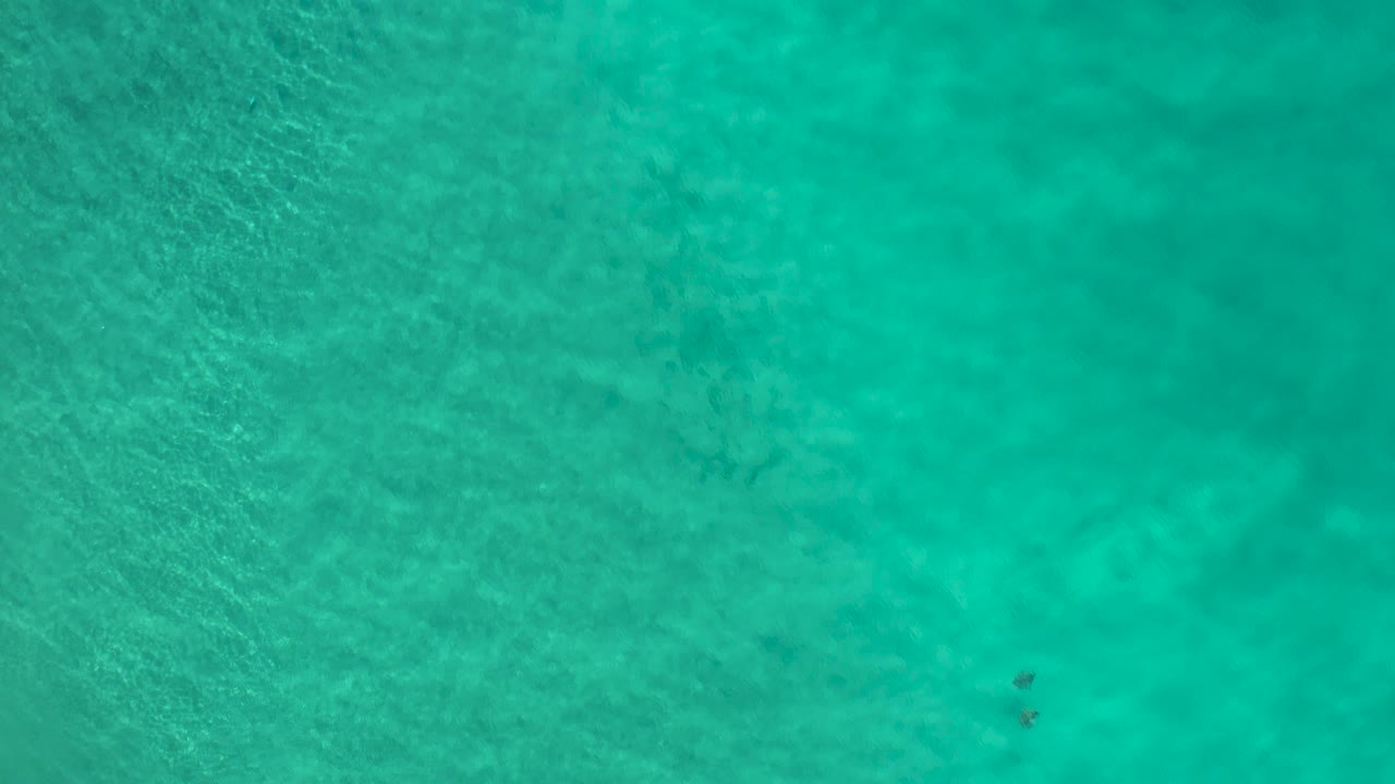 Top-down Los Cabos ocean frame with clear turquoise water, small dark underwater marks near the middle-right area, soft texture, and no visible people.
