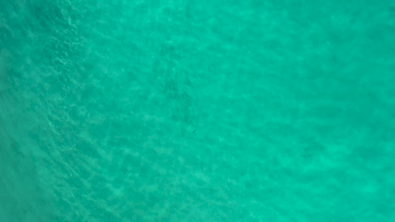 Clear green-blue Los Cabos water fills the frame from above, with soft darker areas below the surface and no visible people.