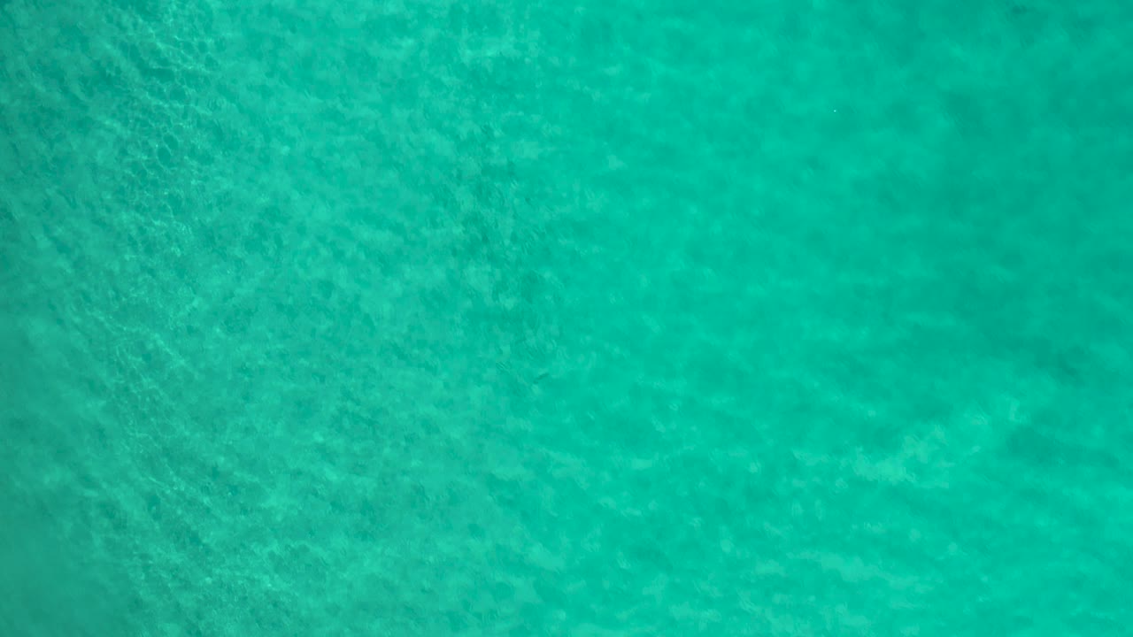 Green ocean water with glinting surface texture.