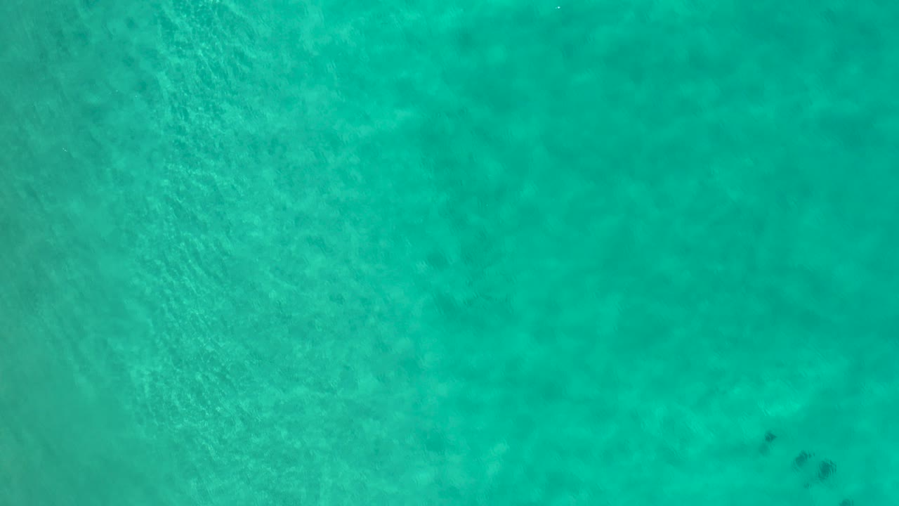 Overhead turquoise water with faint ripples and sandy bottom tones.