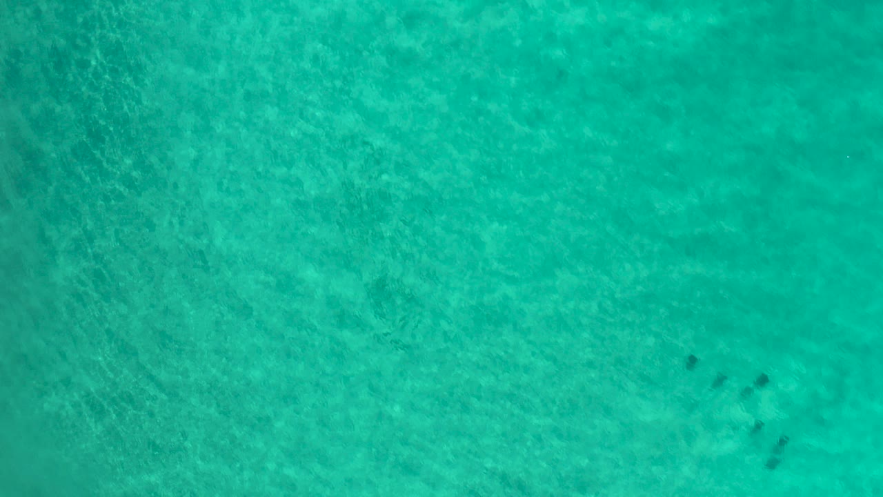 Straight-down view over clear turquoise water in Los Cabos, Mexico, with a small cluster of dark turtles visible near the lower right of the frame and no visible people.
